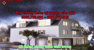 CONG-TY-CHONG-THAM-TAI-CAN-GIO