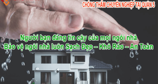 CONG-TY-CHONG-THAM-TAI-QUAN-5