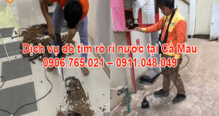 CONG-TY-DO-TIM-RO-RI-NUOC-TAI-CA-MAU