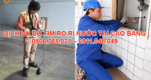CONG-TY-DO-TIM-RO-RI-NUOC-TAI-CAO-BANG