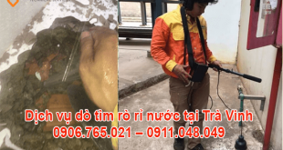 CONG-TY-DO-TIM-RO-RI-NUOC-TAI-HAU-GIANG