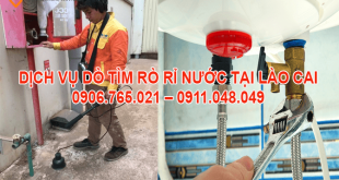 CONG-TY-DO-TIM-RO-RI-NUOC-TAI-LAO-CAI