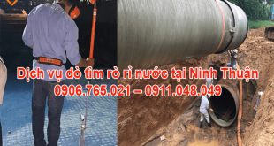 CONG-TY-DO-TIM-RO-RI-NUOC-TAI-NINH-THUAN